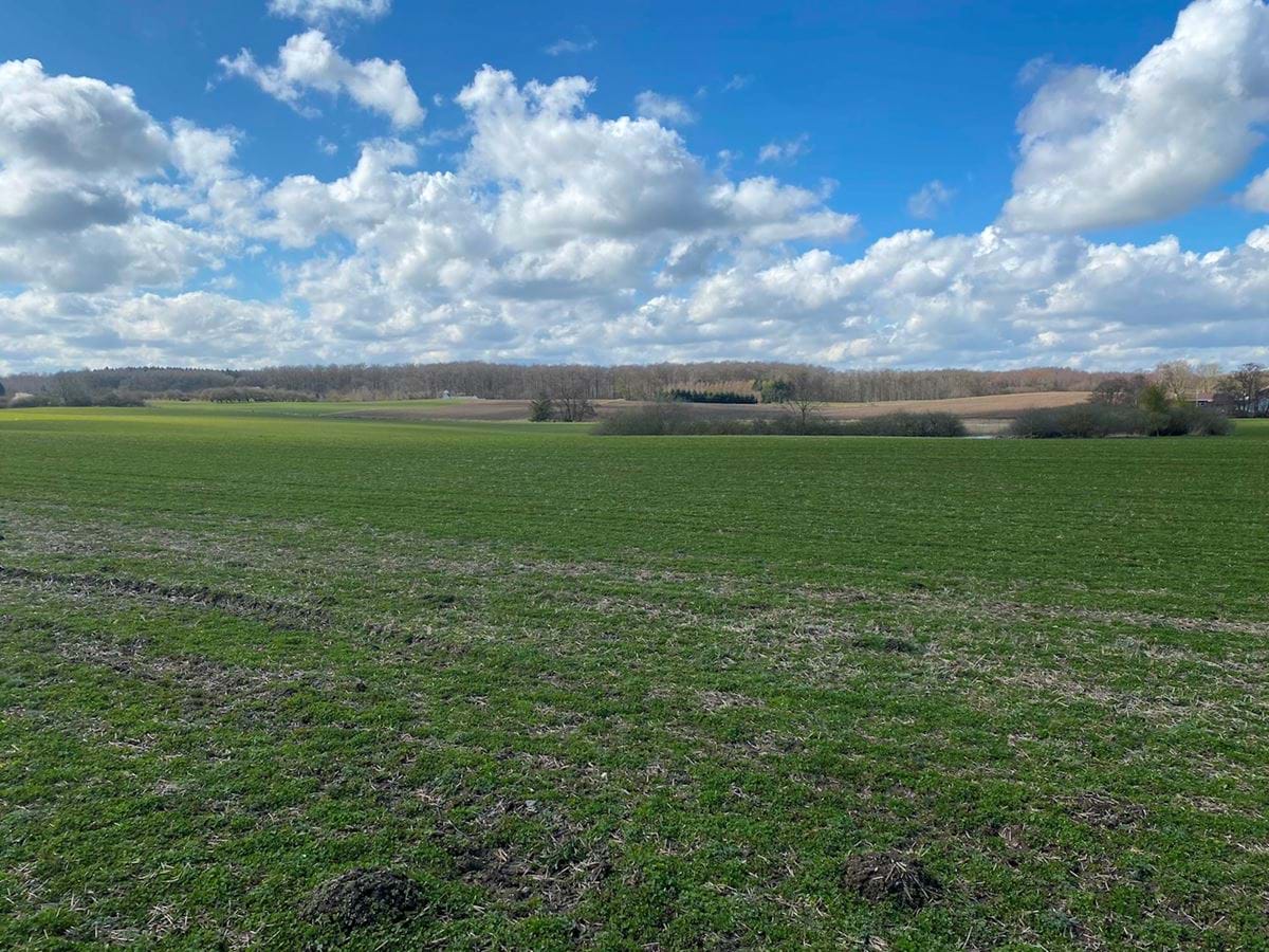 Landbrugsflade med dødisrelief